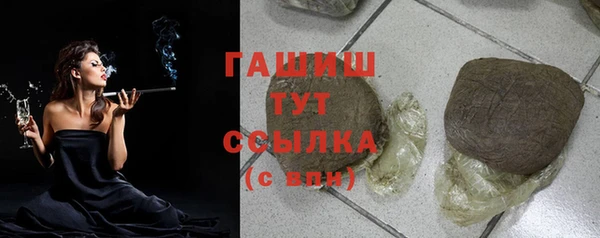 гидра Богородицк