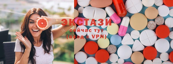 гидра Богородицк
