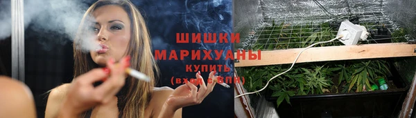 гидра Богородицк
