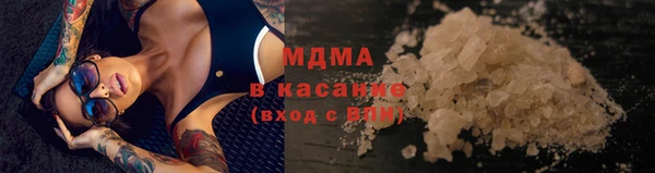 spice Богородск