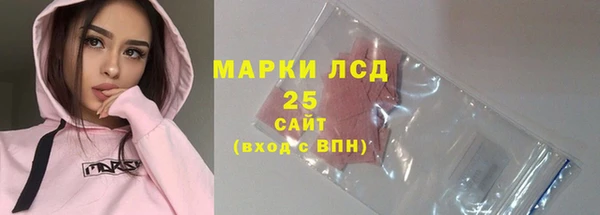 гидра Богородицк