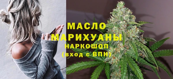 гидра Богородицк