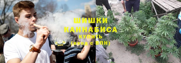 гидра Богородицк