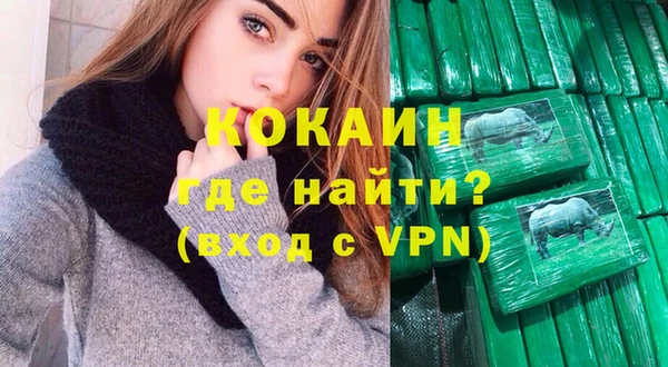 гидра Богородицк