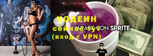 гидра Богородицк