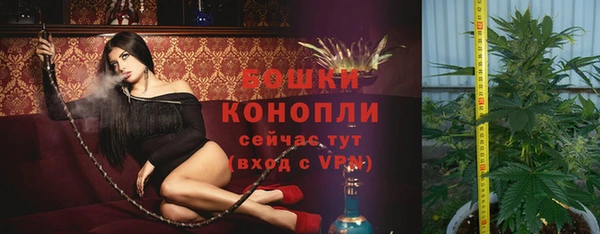 2c-b Богданович