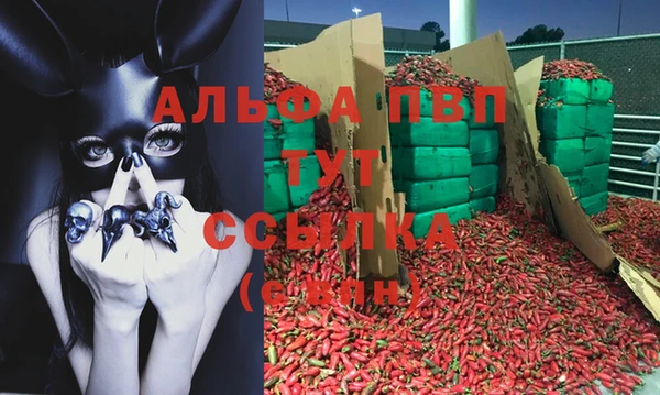 2c-b Богданович