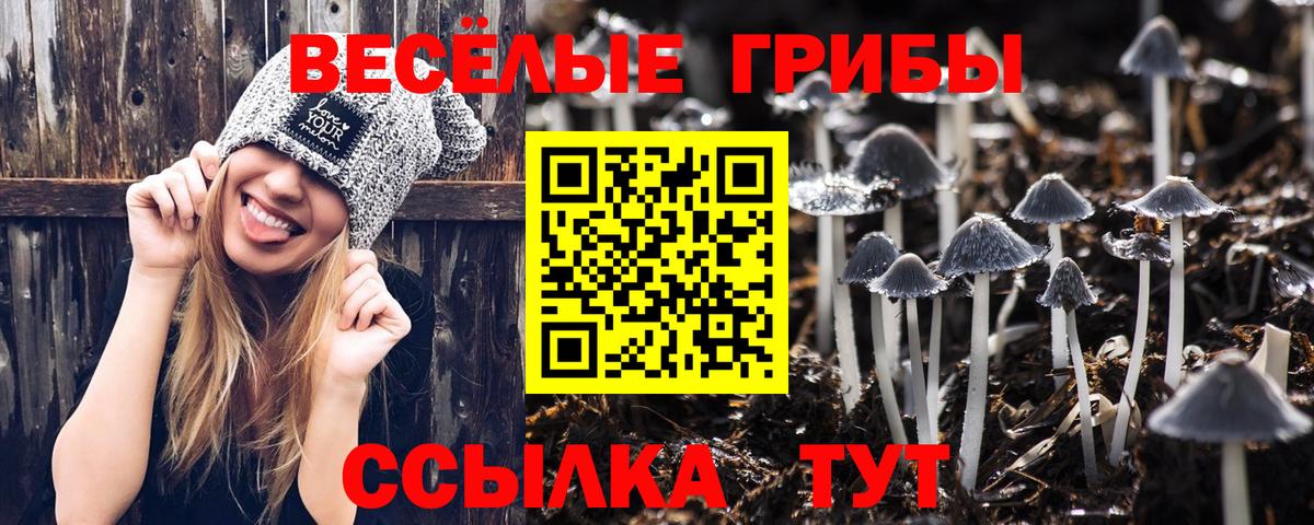 хочу наркоту  Вход с VPN  Псилоцибиновые грибы мухоморы  Минеральные Воды  Псилоцибиновые грибы Cubensis 